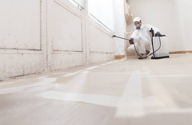 24/7 Emergency Mold Testing experts in Courtland, VA