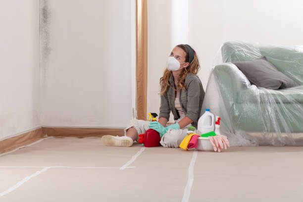 Reliable Mold Testing contractor in Courtland, VA by WQB Mold Removal